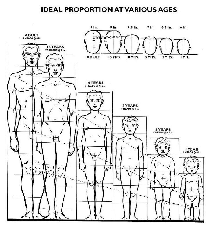 Figure-drawing reference chart titled Ideal Proportion at Various Ages, comparing male figures from one year old to adult. Head-to-body ratio decreases from eight heads tall for an adult, to 7.5 at fifteen years, 7 at ten years, 6 at five years, 5 at three years, and 4 at one year, with a matching row of head sizes above.